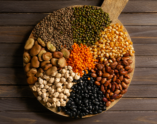SEEDS